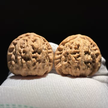 三角白狮子核桃-三角白狮子核桃促销价格、三角白狮子核桃品牌- 淘宝