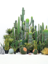 Large-scale simulation green plant cactus cactus column potted decoration indoor tropical plant fake cactus landscape landscaping
