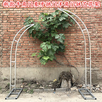 Wedding Golden iron arch bull horn door ivory arch sheep horn door outdoor wedding arch detachable flower shelf