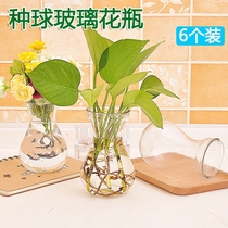 Glass Vase transparent Hyacinth seed ball flower pot living room indoor fish tank round hydroponic hydroponic plant utensils T