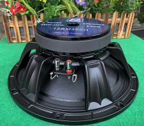 170 magnetic 65 core aluminum plate KTV stage cloth edge 12 inch 10 inch subwoofer Medium subwoofer