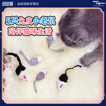 Simulation mouse grinding claw toy interactive pet toy cat toy cat big love funny cat toy 5 * 3cm
