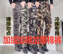 Winter camouflate and velvety cotton pants male thickened casual wear resistant large pocket tooling anti-cold and warm cold storage special cotton clothes