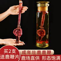 Deer Whip Dry Whole Branch Authentic Fresh Antler Bubble Wine Material Male With Slice Nourishing Jilin Plum Deer Whipping Cream