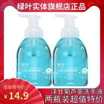 Green leaf love life chamomile foam hand sanitizer 500ml Aloe Vera clean antibacterial sterilization household moisturizer