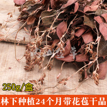 The whole plant of Anoectochilus with flower buds the original ecological planting under the forest of Nanjing Fujian Province 24 months 250 grams