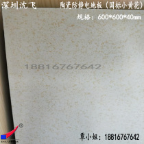 Ceramic electrostatic floor Shenfei ceramic anti-static floor overhead raised floor special ceramic surface for northern computer room