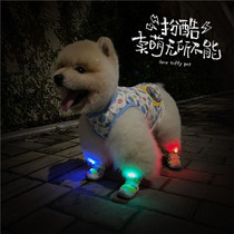 BeartoffyPet pet night walking shoes light dog shoes light clip strap easy to carry safe night light