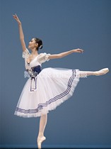 New professional dance dress ballet puffy dress Swan Lake performance adult bubble sleeve tutu dress