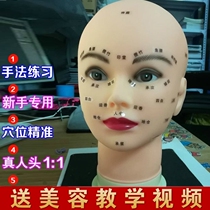 Home Beauty Exercises Head Shoulder Beauty Head Facial Acupoints Skin G Management With Mold Body Fake Human Head Soft Light Home