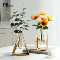 Nordic creative simple light luxury hydroponic small Vase ornaments ins Wind Net red living room dried flower arrangement table decoration