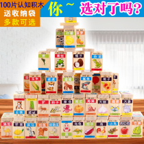 100 Chinese characters dominoes baby literacy early education wooden building blocks childrens educational toys 2-3-4 years old