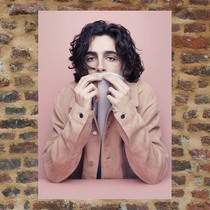 Sweet tea poster DL421 for a total of 600 bags full 8 parcels of mail A3 Photo perimeter Timothy Chalamet