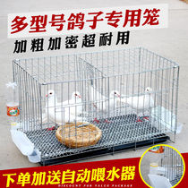 Large pigeon cage household matching breeding cage pigeon supplies household chicken cage pigeon cage large size