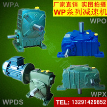 WP worm gear reducer WPA135 WPS135 type 1 10-1 60 vertical iron shell reducer reducer gearbox