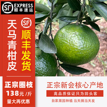Xinhui Tianma fresh small green citrus tea branches fresh fruit 2021 circle branch Xinhui tangerine peel 2020 red skin