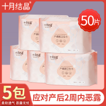 5 packs of October Jing maternal sanitary napkins postpartum special discharge lochia pregnant women month paper towel increased puerperium