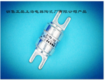 Shanghai Electric Ceramic Factory Co Ltd Feiling semiconductor fuse STF1 (double hole) 1500V 900A