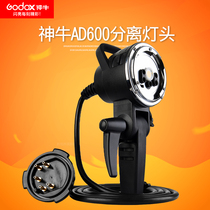 Shenniu AD-H600 split machine portable lamp head AD600 BM B outside lamp Shenniu Baorong bayonet