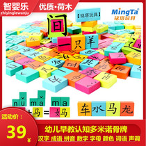 Mingta Chinese character King Literacy Barrel Domino 175 small child building blocks 3-6 years old learning pinyin side Toy