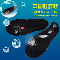 Childrens dance shoes boys and girls Black soft bottom boys kindergarten baby practice Chinese ballet dancing shoes