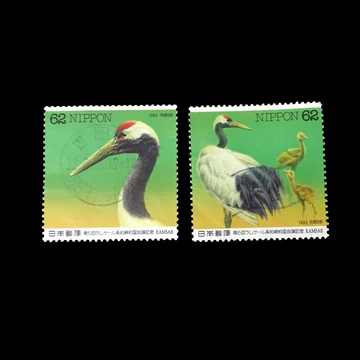 特48 丹頂鶴（未使用、3種完） 特48邮票丹顶鹤,价格,图片,最新