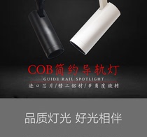 GOPO progressive lighting LED extraordinary track lights clothing commercial lighting White warm light rail spotlight COB30W20W