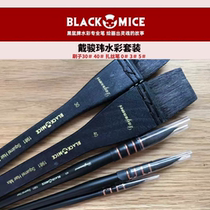 BLACK MICE BLACK mouse card wearing Junwei watercolor set live with price