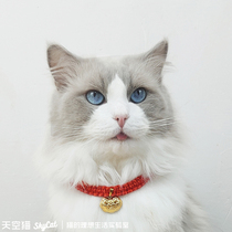Sky cat cat long life lock Handmade cat collar Cat brand Kitten supplies Muppet necklace Cute pet jewelry