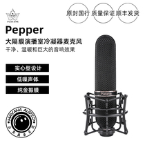 PLATANE Prata pepper pepper series large diaphragm recording condenser microphone imported from Paris France