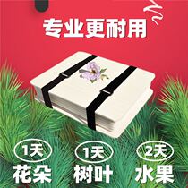 Plant specimen making tool handmade diy self-made dried flower material embossed dry flower presser embossed plate