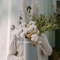 kakawood Flower Club Nordic Home Soft Decoration Natural Plant Dried Fruit Dry Branches Light Luxury Cotton