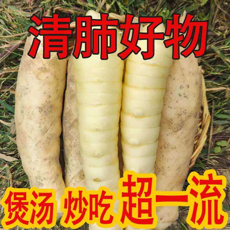 2025高州竹薯无渣新鲜竹芋带皮冬粉薯,凉粉薯1斤2斤5斤火锅食材推荐,细腻无渣才是真讲究!-旅游攻略-淘宝好物网