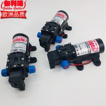 24V Water Pump 12v electric sprayer diaphragm pump 12V micro sprayer diaphragm pump garden water pump