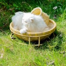 Send cool mat Liu family bamboo weaving net red explosive tripod off the ground cat nest pet nest four seasons universal cat bed