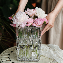 出口轻奢高档高级感玻璃花瓶客厅鲜花透明插花水养水培ins风摆件