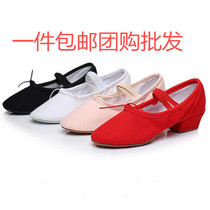 Teacher shoelace and dance shoes womens soft bottom practice shoes folk dance belly dance Chinese dance yoga body dance shoes