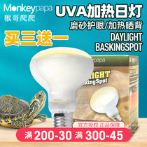 Tortoise Sunback lamp climbing pet UVA full spectrum sun lamp heating heating heating lamp day lamp sterilization three in one