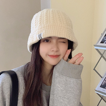 Hat female autumn and winter Korean version of ins Tide brand Joker wool hat cold hat winter warm ear protection big head knitted hat man