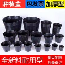 Type Vegetable Disposable Cup Thickened Type Increase Nutrient Cup Cultivation Basin Sapling Breeding Box Thickening Vegetable Miao Green Vegetable Fruit Trees