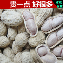 New Longyan boiled peanuts natural white sun dried cooked salt water boiled salty dry 3kg bulk farm nut snacks specialty