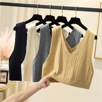 Knitted vest womens 2021 autumn new loose lazy outside wear wild sweater vest pullover sleeveless horse clip