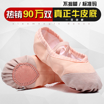 Adult childrens dance shoes womens soft bottom body sports shoes red black and white boy cat claw shoes ballet shoes yoga