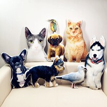 Alien pet pillow customized photo photo customized diy cat dog rabbit bird commemorative animal creative pillow