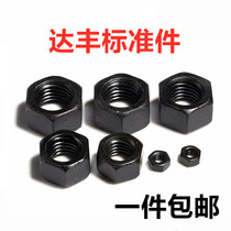 Class 12 9 Black Hexagon Nut Hexagon Nut M6M8M10M12M14M16M18-M30