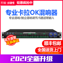 Professional pre-stage anti-howling suppressor ktv effect device Audio DSP reverberation processor Anti-interference suppression howling