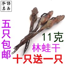Snow clam Northeast specialty Changbaishan subspecies forest frog oil Whole pure dry does not contain tide toad dry 11g