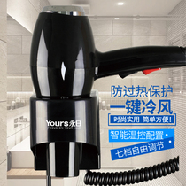 Yongday 6610 Hotel Hotel dedicated electric hair dryer high power home bathroom hot and cold air wall-mounted hair dryer