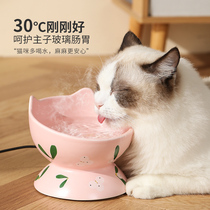 Cat constant temperature water dispenser ceramic pet heating water dispenser bowl drinking water non-wet mouth kitten feeding dog supplies