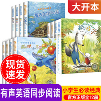English Picture books 12 books for primary school English extracurricular books Audio story books for Grade 4 and 5 childrens enlightenment books for 8-9-12 years old primary school students English point reading Natural Phonics Chinese and English bilingual companion reading introductory materials